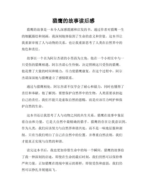 猎鹰的故事读后感