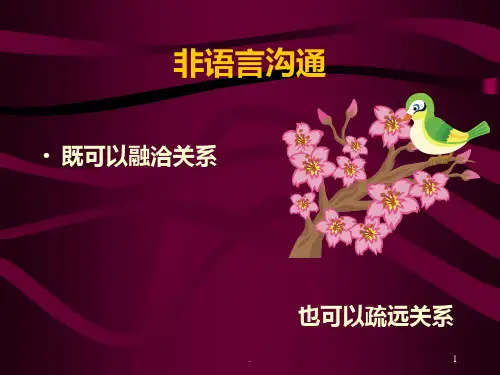 《非语言沟通》PPT课件