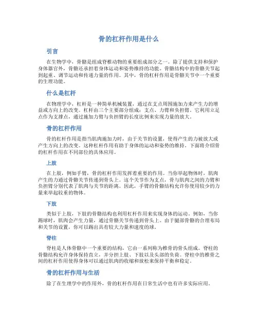 骨的杠杆作用是什么