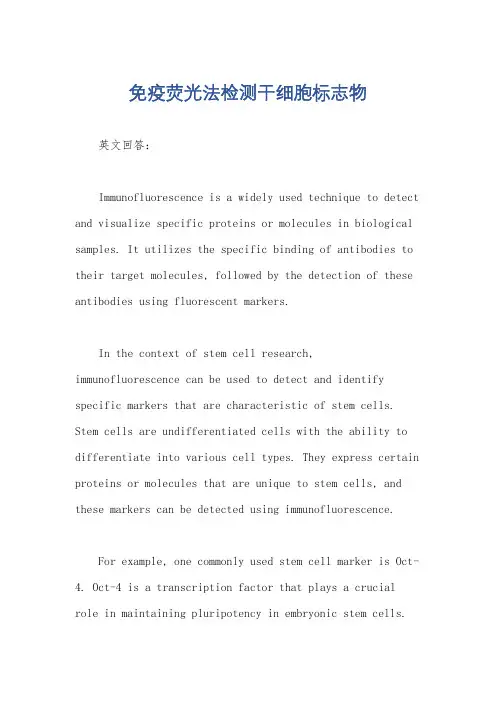 免疫荧光法检测干细胞标志物