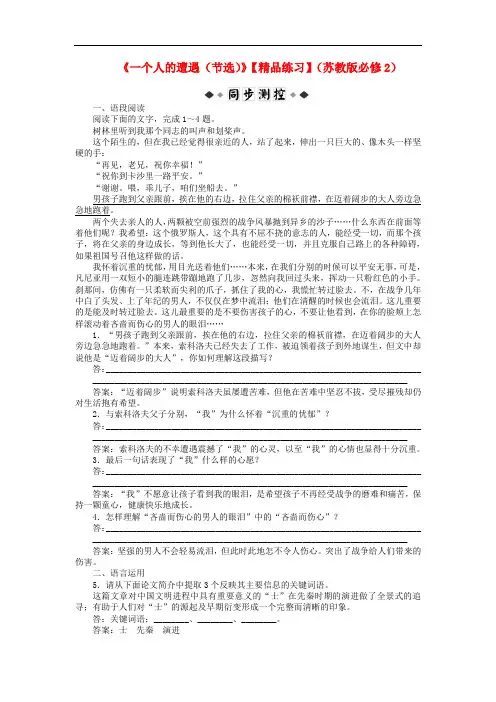 高中语文《一个人的遭遇(节选)》练习苏教版必修2