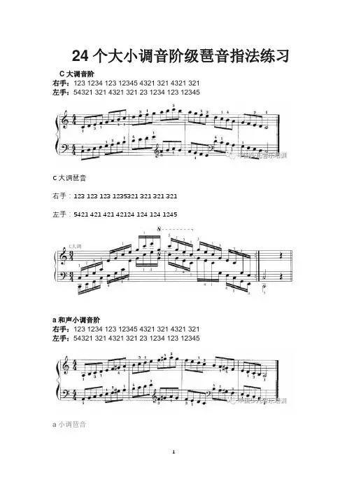 24个大小调音阶及琶音指法练习