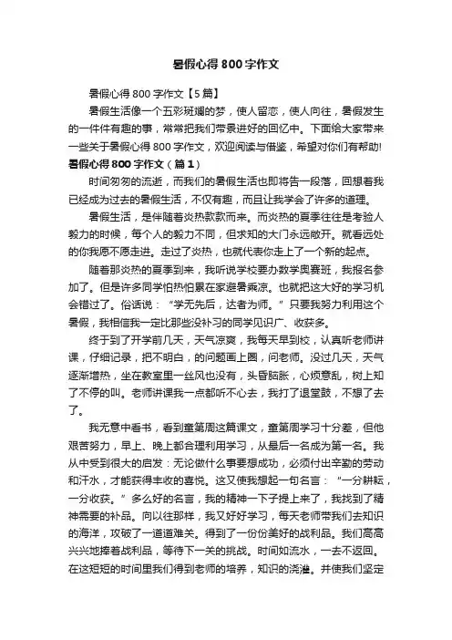 暑假心得800字作文