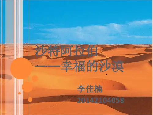 沙特阿拉伯