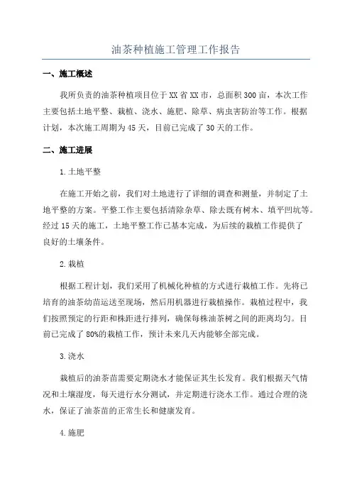 油茶种植施工管理工作报告