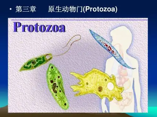 第3章  原生动物
