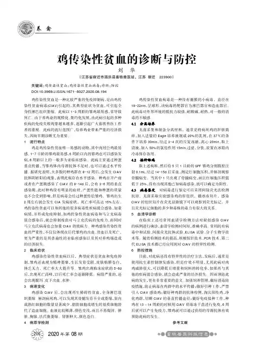 鸡传染性贫血的诊断与防控