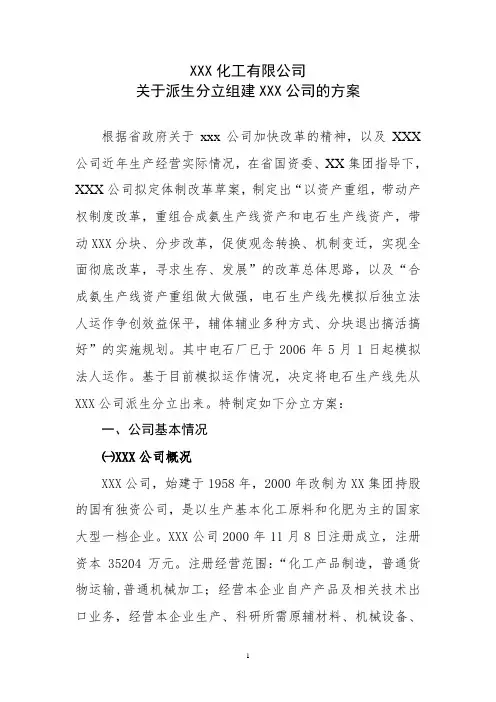 XXX化工有限公司派生分立组建XXX公司的方案