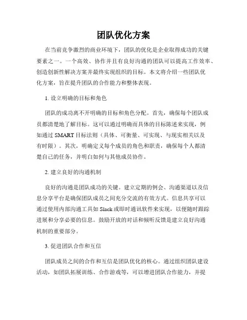 团队优化方案