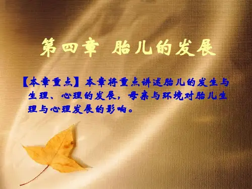 发展心理学第四章  胎儿的发展