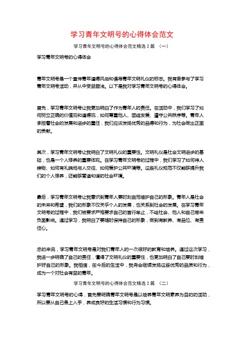学习青年文明号的心得体会范文2篇