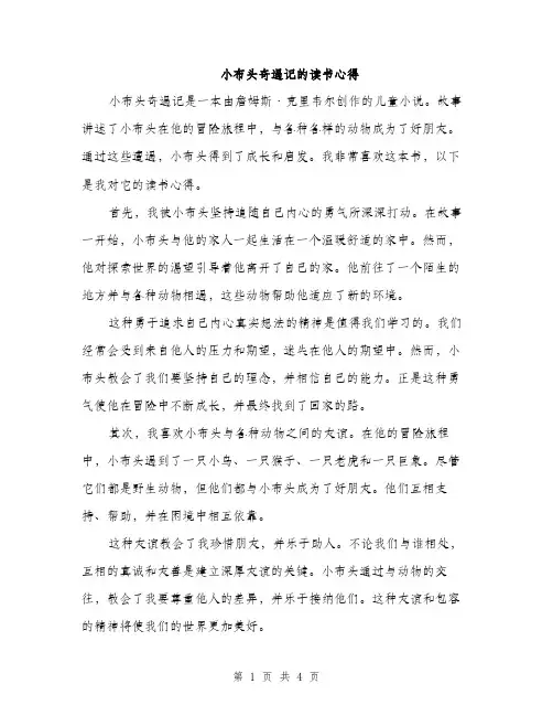 小布头奇遇记的读书心得（2篇）