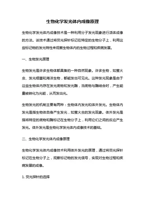 生物化学发光体内成像原理