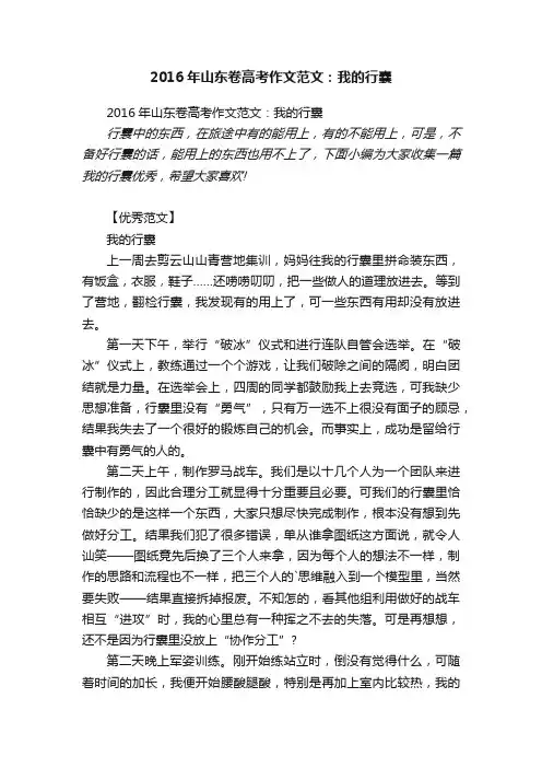 2016年山东卷高考作文范文：我的行囊