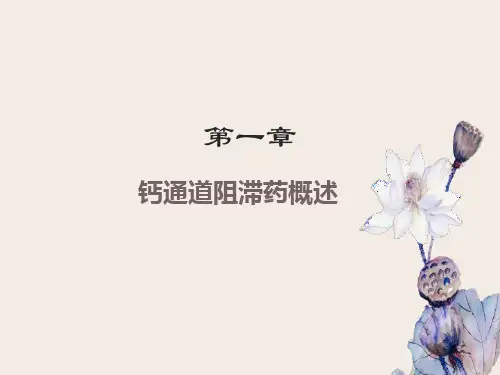 钙通道阻滞剂概述