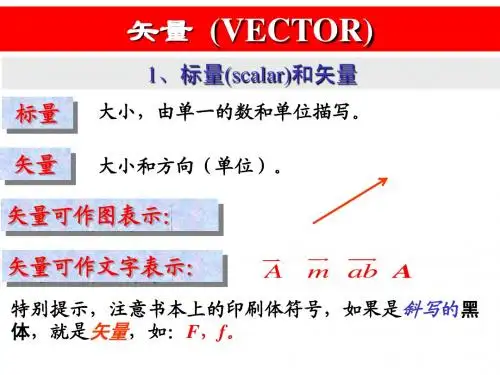 1.2.1 标量和矢量