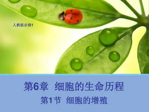人教版高一生物必修一第六章第一节《细胞的增殖》教学课件(共30张PPT)