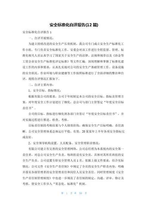 安全标准化自评报告(12篇)