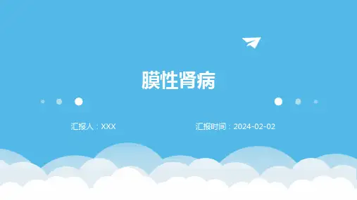 膜性肾病演示课件