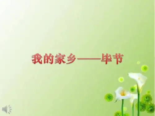 毕节我的家乡