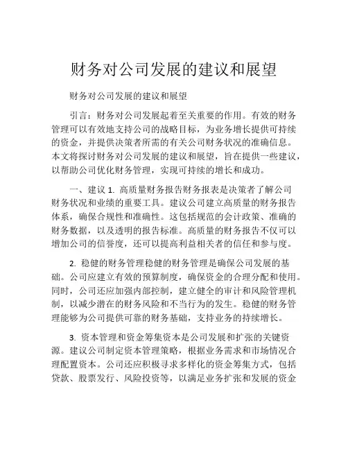 财务对公司发展的建议和展望