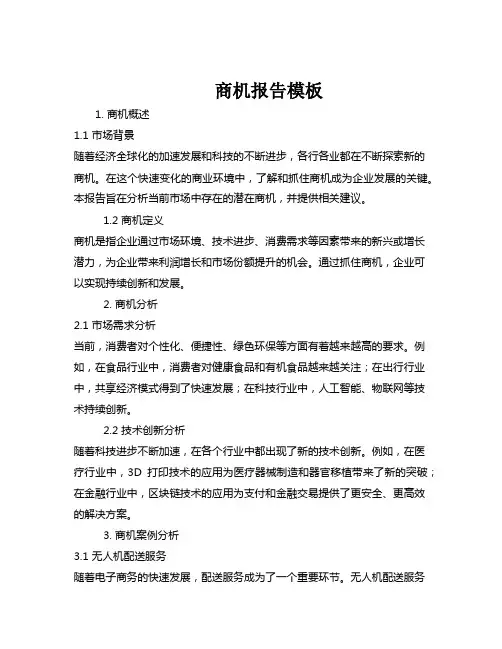 商机报告模板
