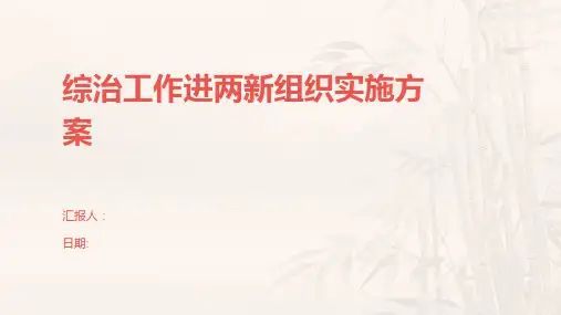 综治工作进两新组织实施方案