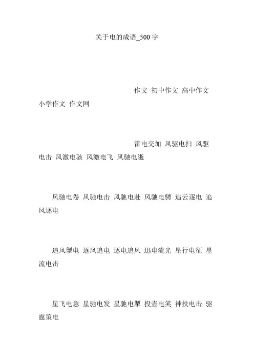 关于电的成语_500字