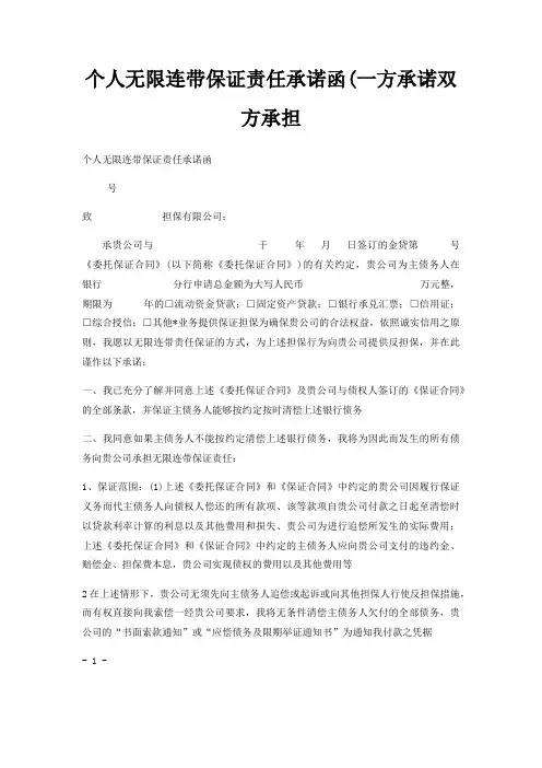 个人无限连带保证责任承诺函(一方承诺双方承担