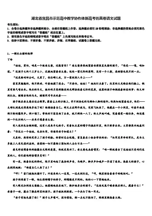 湖北省宜昌市示范高中教学协作体新高考仿真卷语文试题及答案解析