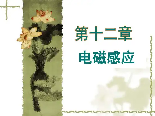 第十二章电磁感应PPT课件
