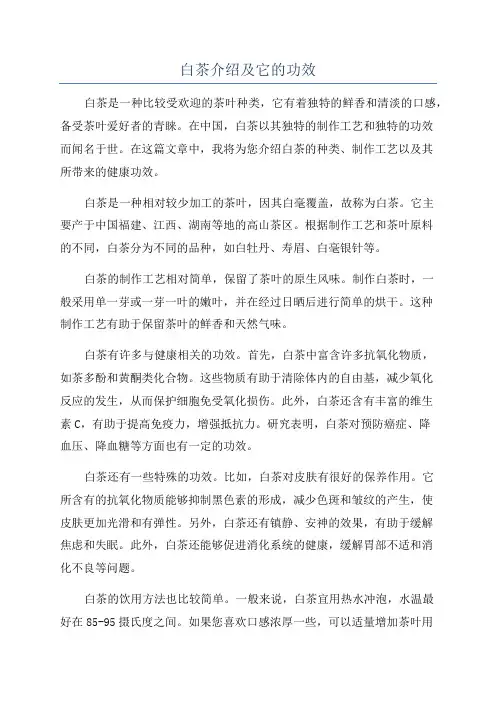 白茶介绍及它的功效