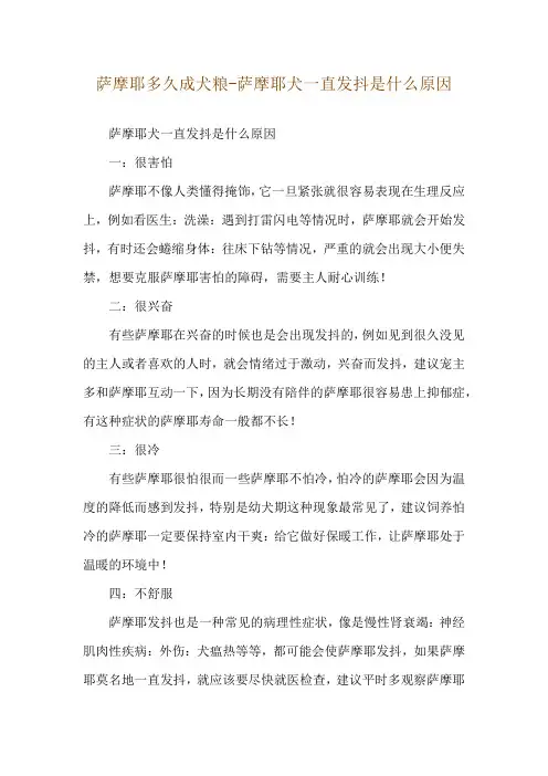 萨摩耶多久成犬粮-萨摩耶犬一直发抖是什么原因