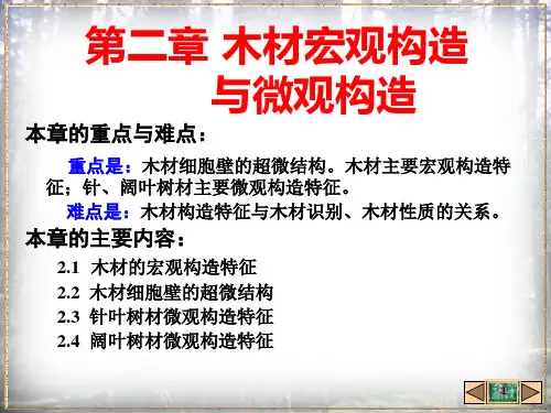 木材宏观构造与微观构