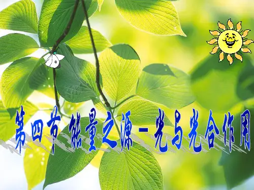 人教版生物必修一5.4--能量之源——光与光合作用(共65张PPT)