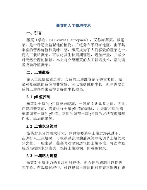 薇菜的人工栽培技术