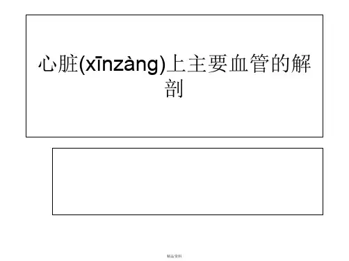 心脏上主要血管的解剖讲解