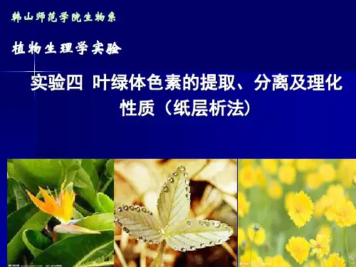 植物生理学实验4叶绿体色素的提取、分离及理化性质(纸层析法)