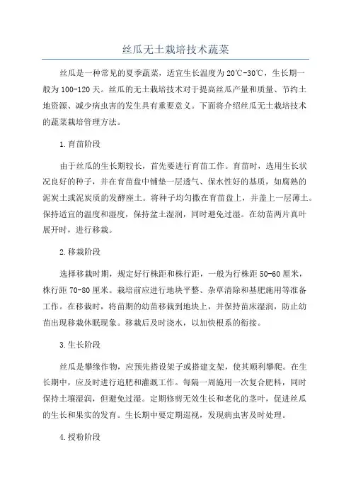 丝瓜无土栽培技术蔬菜
