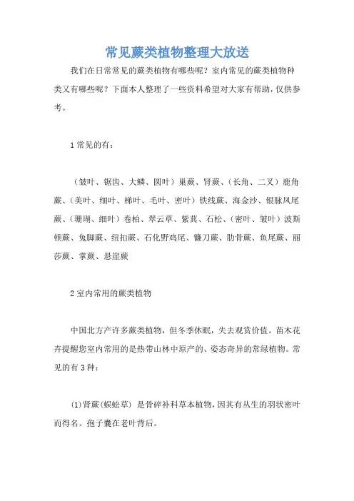 常见蕨类植物整理大放送