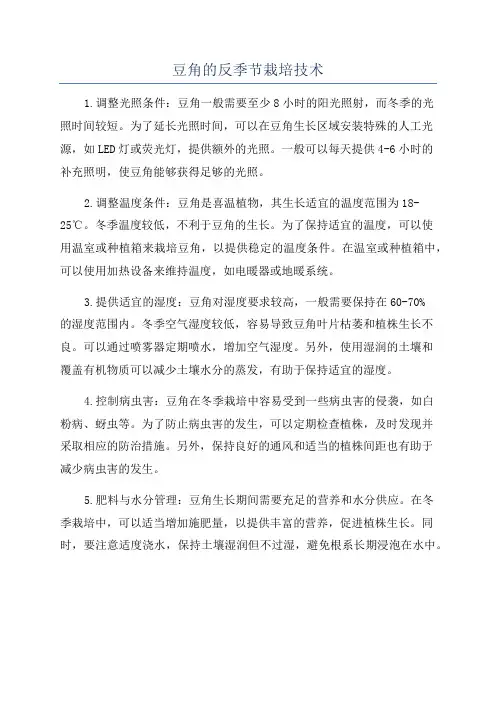 豆角的反季节栽培技术