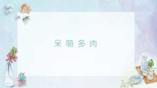 萌萌哒的多肉课件