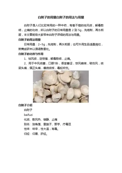 白附子的用量白附子的用法与用量