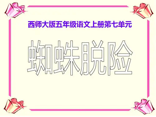 《蜘蛛脱险》课件ppt(4篇)