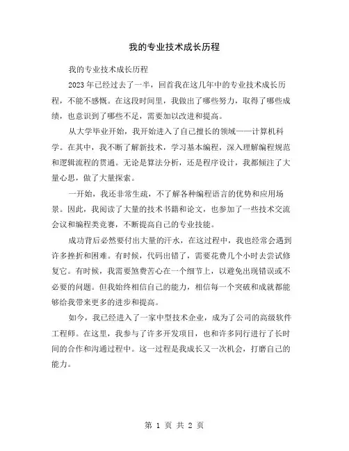 我的专业技术成长历程
