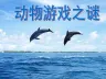 高中教材语文必修三《动物游戏之谜》ppt