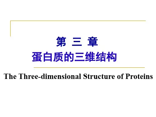 第三章 蛋白质的结构【生物化学】