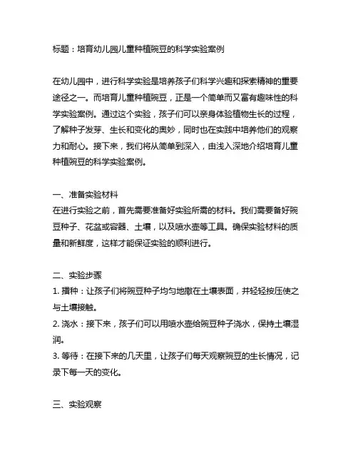 幼儿园科学实验案例——培育儿童种植豌豆