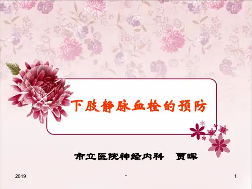 下肢静脉血栓的预防及护理ppt课件