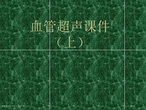 血管超声医学知识培训专家讲座